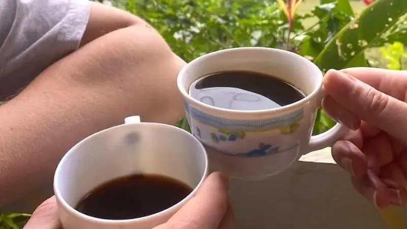 Tour a una finca de café desde Port Antonio